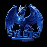 🫐 Paid Sylets - Market